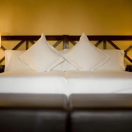 Hotel Masia La Palma Espinavessa